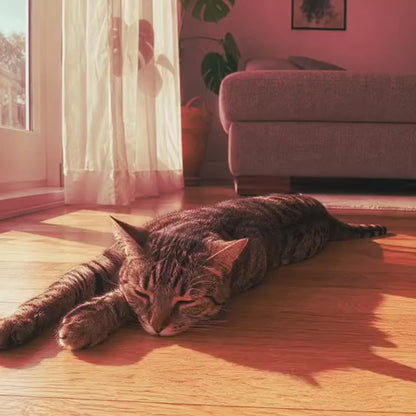 Kovah Cat Cooling Mat